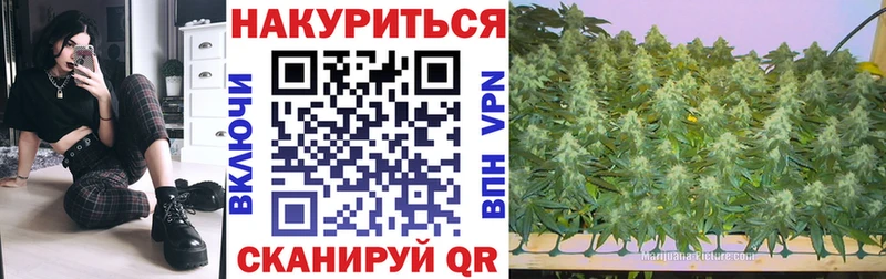 Где купить наркотики Тында A PVP Марихуана МЕФ ГАШ