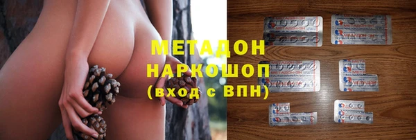 ПСИЛОЦИБИНОВЫЕ ГРИБЫ Абаза
