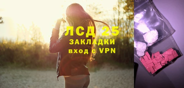 ПСИЛОЦИБИНОВЫЕ ГРИБЫ Абаза