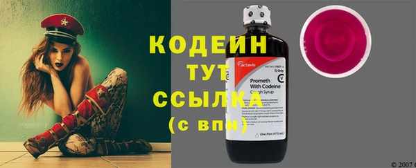 ПСИЛОЦИБИНОВЫЕ ГРИБЫ Абаза