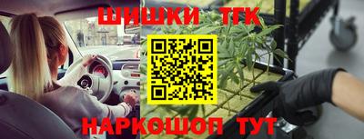 СК Тула