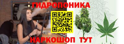 СК Тула