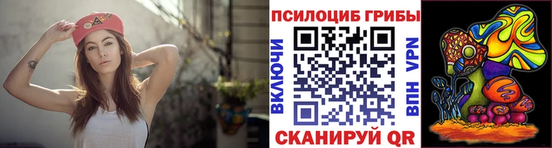 как найти наркотики  Тында  Псилоцибиновые грибы мицелий 