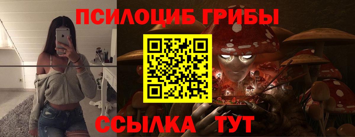 Тында  Галлюциногенные грибы MAGIC MUSHROOMS  Вход с VPN 